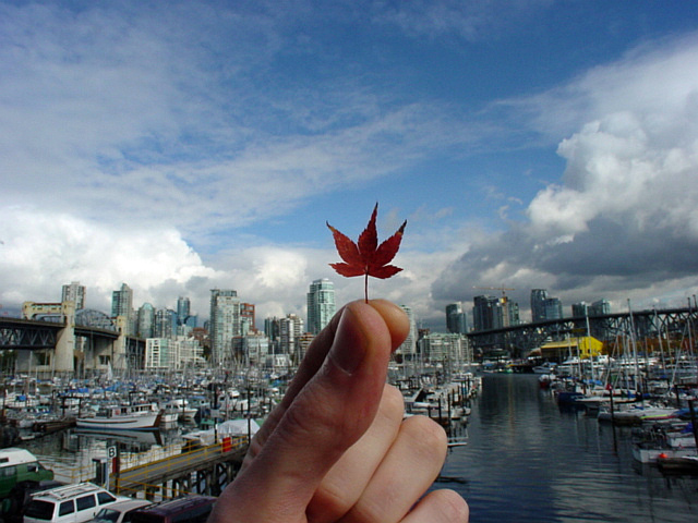 Fall in Vancouver, by JMV. Creative Commons Attribution 2.0.