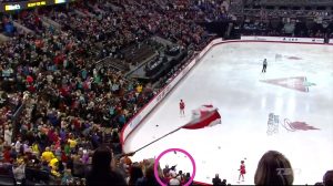 Patrick Chan fan Happylife (bottom of image) during standing ovation for Patrick at the national championships in Ottawa, January 2014.
